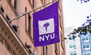 nyu-transfer-acceptance-rate-300x181.webp.webp